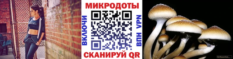 OMG ССЫЛКА  Выборг  darknet телеграм  Галлюциногенные грибы мухоморы 