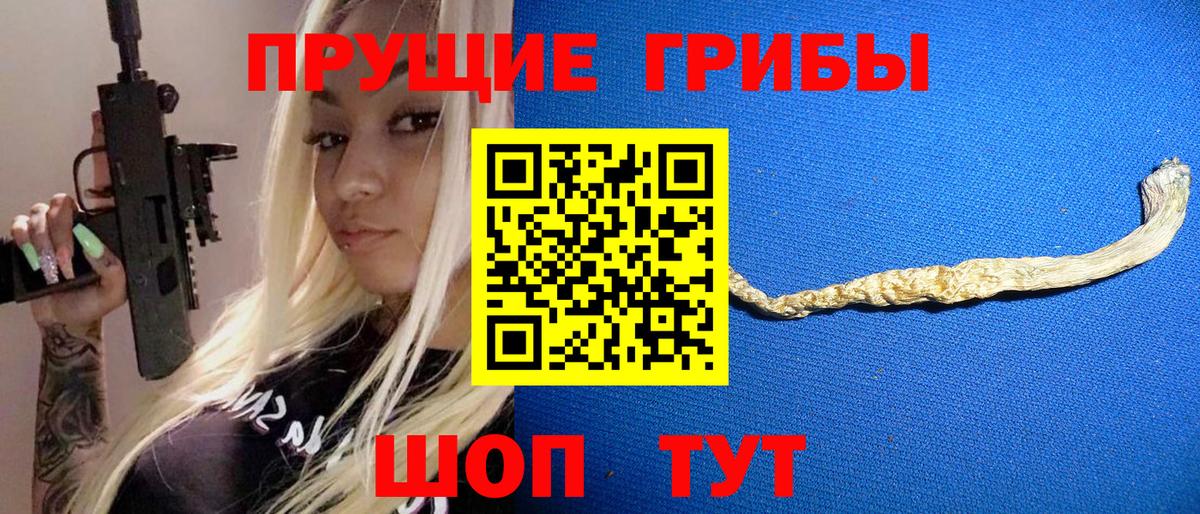 Псилоцибиновые грибы MAGIC MUSHROOMS  Вход с VPN  Псилоцибиновые грибы MAGIC MUSHROOMS  Выборг 